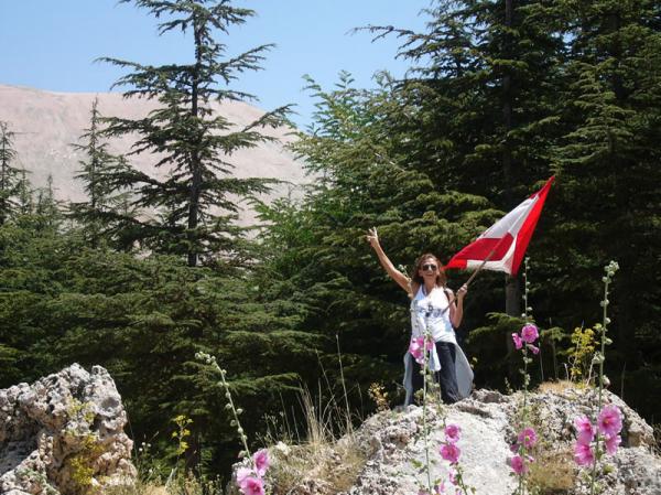 Guardians of the Cedars – Cedars Tour, The Second Stage