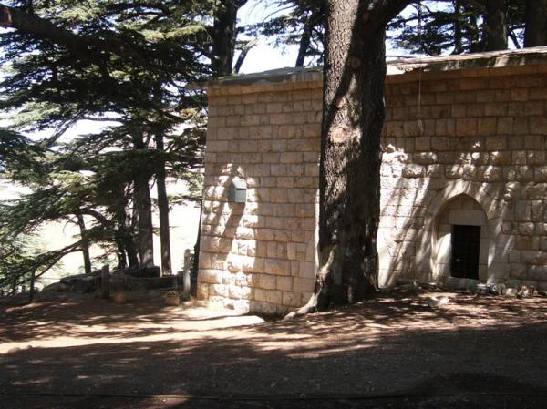 Guardians of the Cedars – Cedars Tour, The Second Stage
