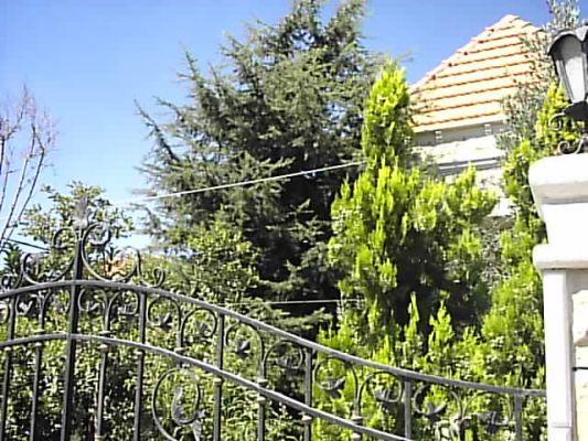 Guardians of the Cedars in the south – 2005 – First Tour